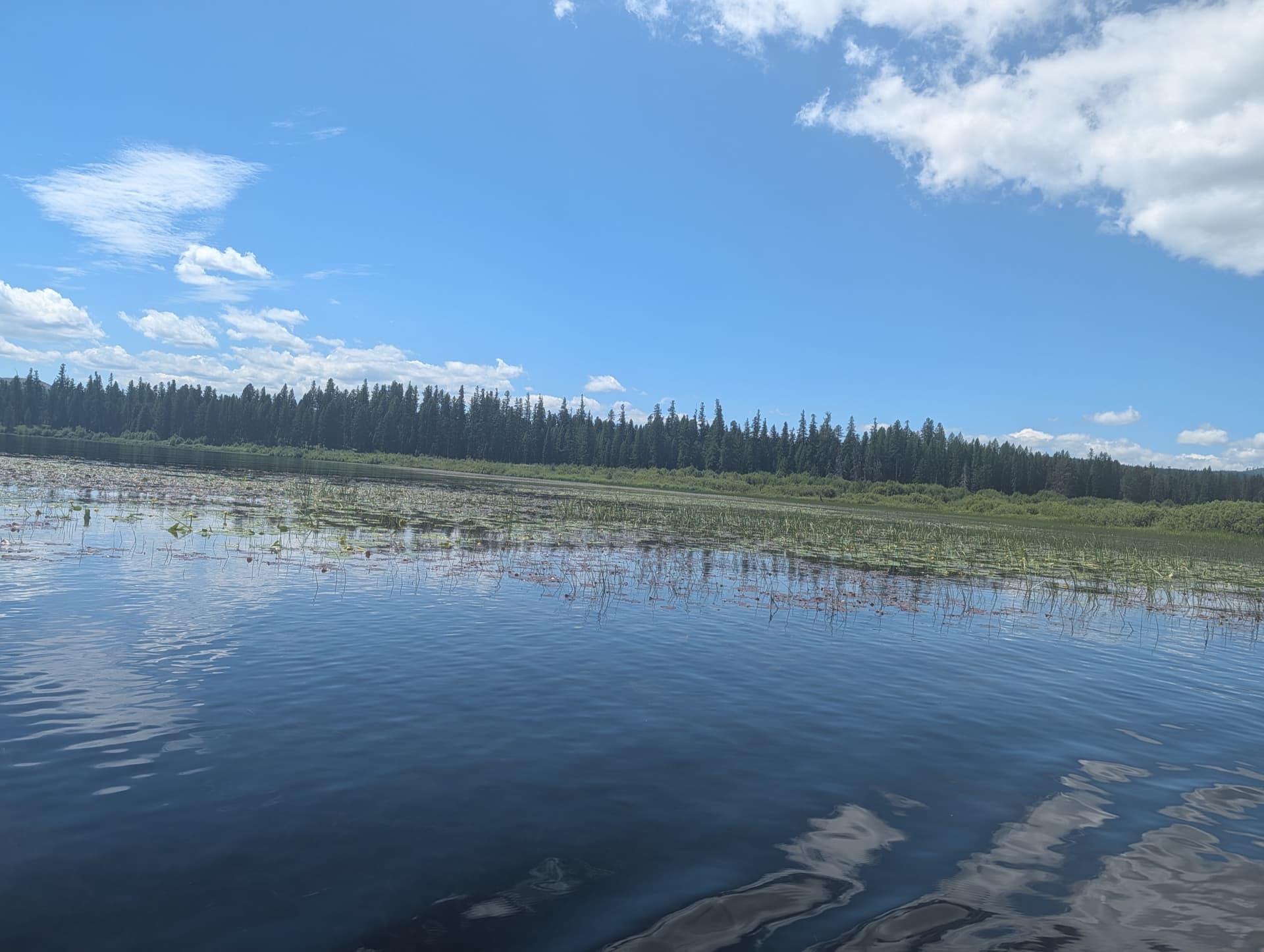 Seeley Lake Vista