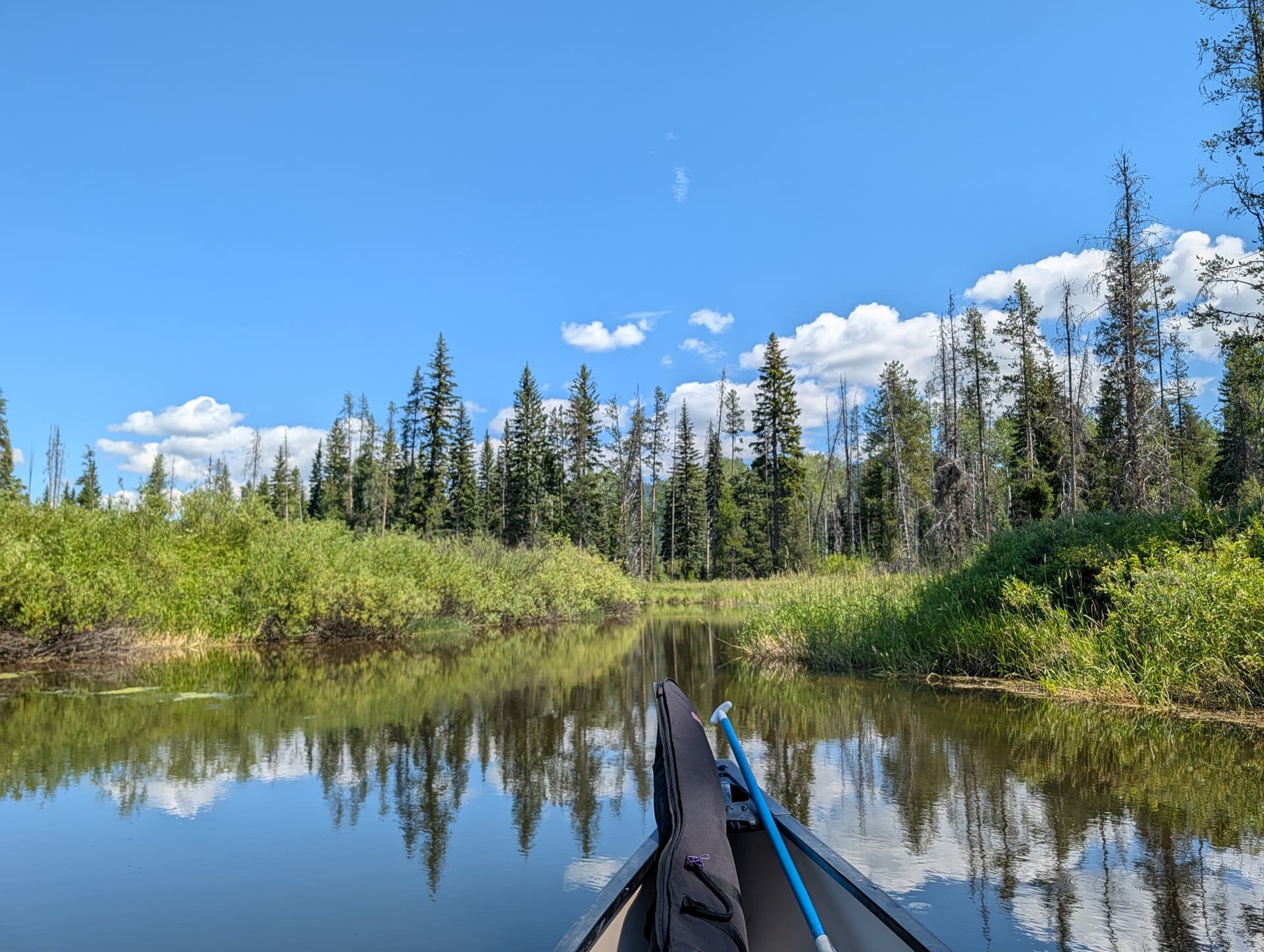 Still Water Reflections